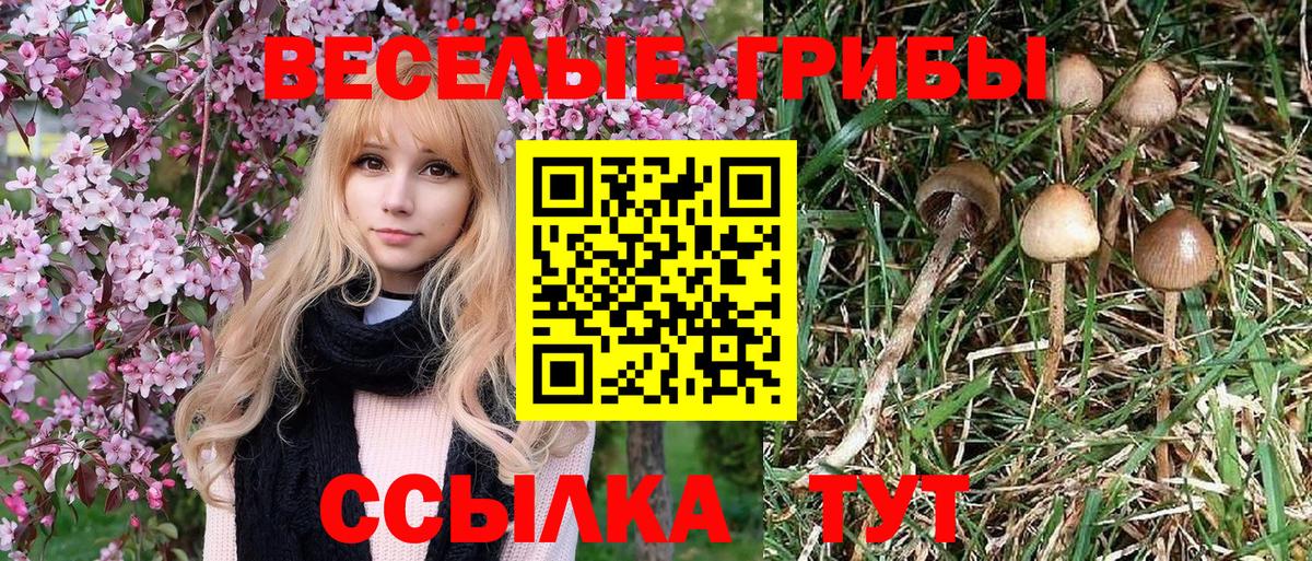 Галлюциногенные грибы Magic Shrooms Ростов-на-Дону